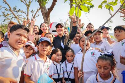 Con una inversión de 50 millones de pesos arranca campaña de reforestación en Guerrero