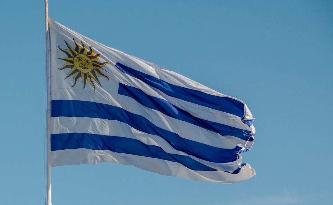 La coalición oficialista, que incluye también a Cabildo Abierto (derecha, 2-4% en los sondeos) y al Partido Independiente (centroizquierda, 1-3%), ya anunció para la noche del domingo un “festejo de la democracia”. Foto: Pixabay