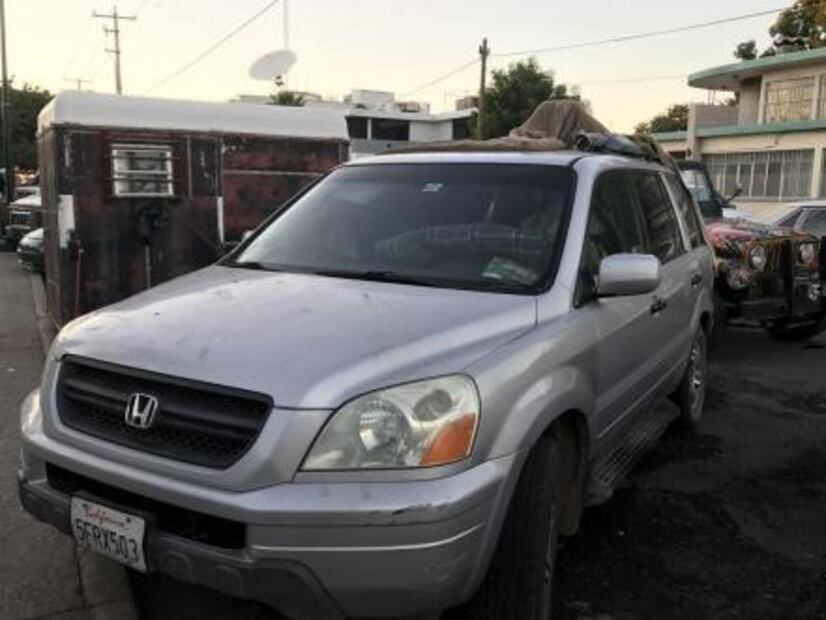 Recorre Latinoamérica en su camioneta con sus 3 gatos y 4 perros