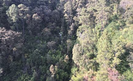 Rescatan a parapentista noruego que cayó en Valle de Bravo