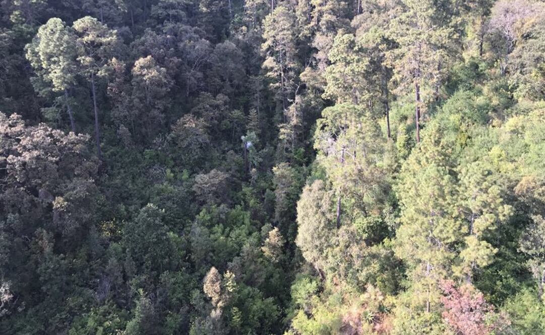 (Foto: @GrupoRelampagos)