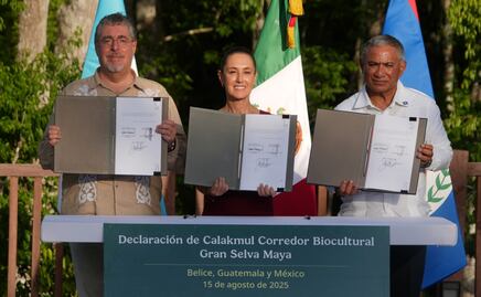 Sheinbaum anuncia Corredor Gran Selva Maya Belice-Guatemala y México; buscan preservar 5.7 millones de hectáreas