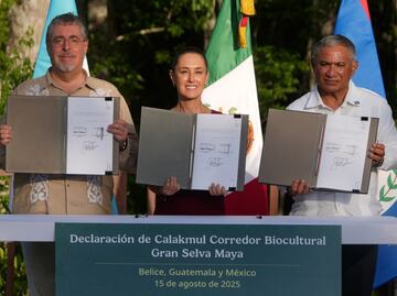 Sheinbaum anuncia Corredor Gran Selva Maya Belice-Guatemala y México; buscan preservar 5.7 millones de hectáreas