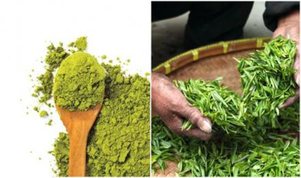 El té verde te ayudará a perder grasa corporal