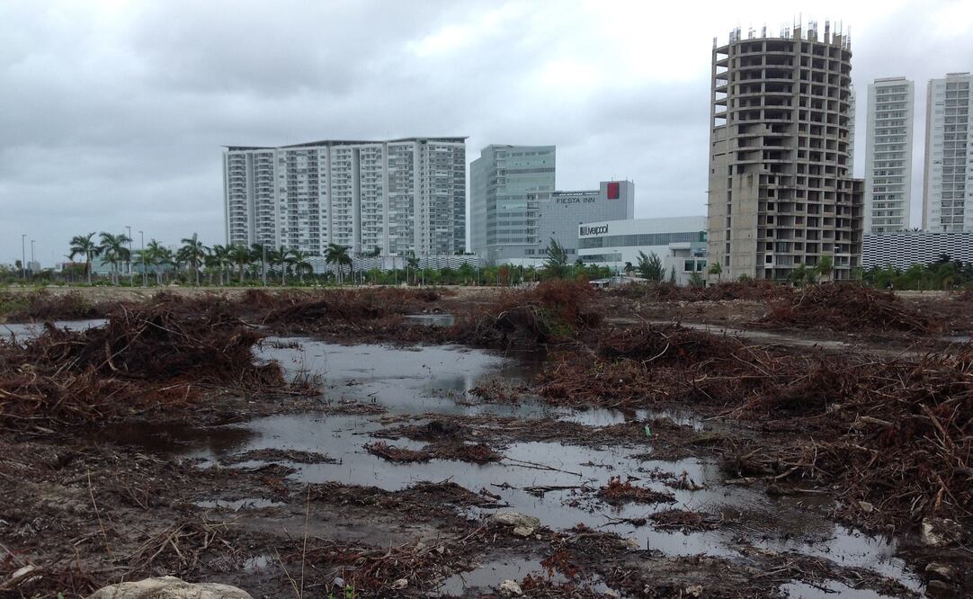 Foto: Tomadas el viernes cinco de febrero, de dos inspectores de la Profepa que ingresaron al "Malecón Tajamar" y recorrieron parte de la zona dañada dentro del polígono