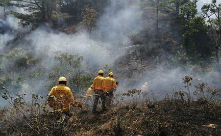 Se mantienen activos tres incendios forestales en Oaxaca