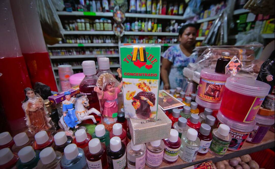 Toloache, una planta tan poderosa como peligrosa, al alcance de la mano