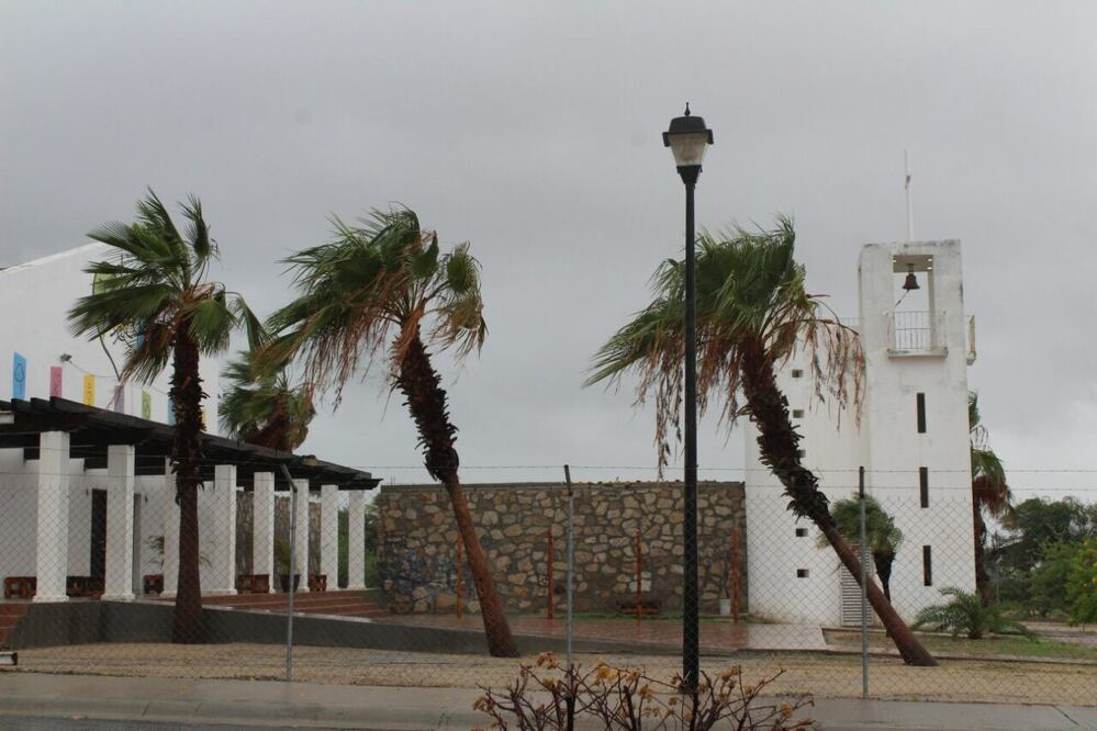 Foto: Cortesía Tribuna de Los Cabos