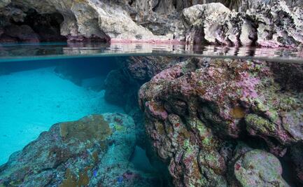Gobierno de una isla en Oceanía busca plan de "financiación virtual" para proteger sus aguas