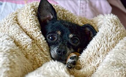 Habrá cielo parcialmente nublado y ambiente frío a muy frío en la CDMX este lunes 28 de febrero