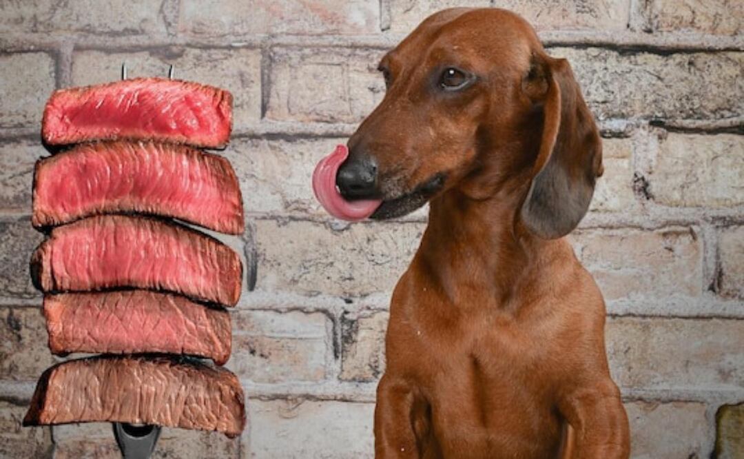 La carne en la alimentación de los perros. Fuente: Freepik.