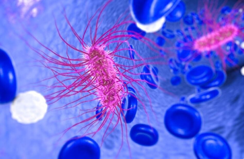 Estas son las bacterias más peligrosas del mundo: estudio