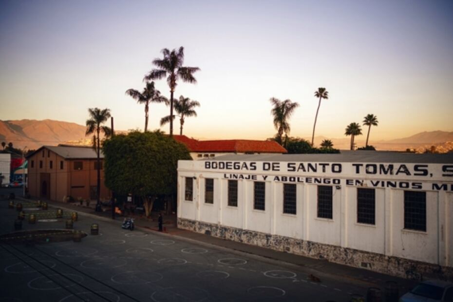 Inauguran espacio cultural con el sello del vino mexicano