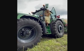 VIDEO "Monarca todoterreno": reina Máxima de Países Bajos se sale del protocolo, de nuevo; aparece al volante de un tractor