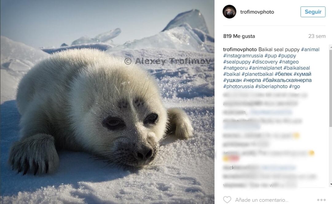 (FOTO: Tomada de Instagram)