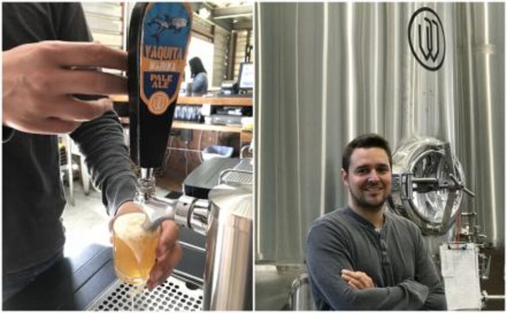 Festival de las Conchas y el Vino Nuevo, una carta de amor a Baja California