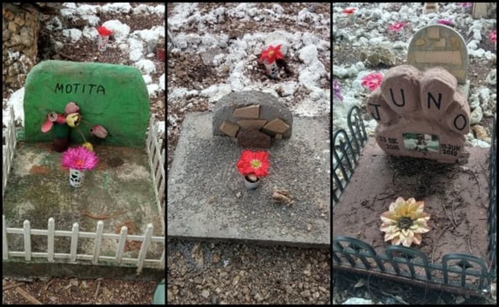 La tradición del Día de Muertos llega a cementerio de mascotas en Chiapas