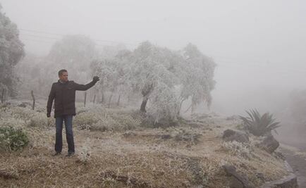 Declaran emergencia en Sonora tras heladas severas