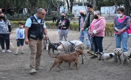 Alcaldesa de Tlalpan destaca logros en protección animal y conservación de especies endémicas