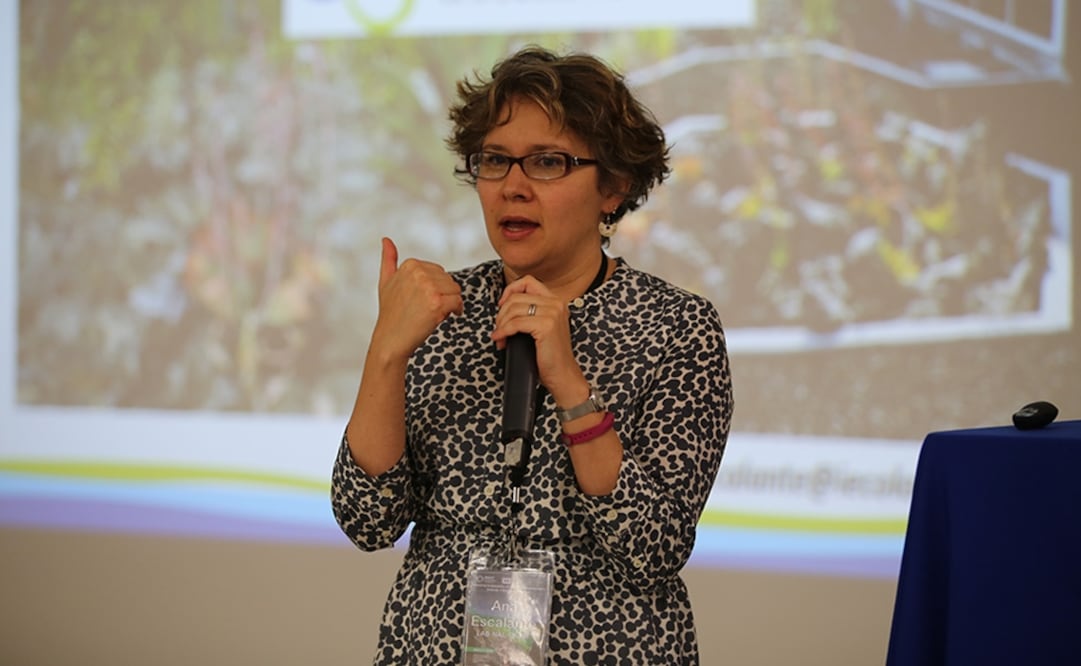 Ana Escalante Hernández, directora del Laboratorio Nacional de Ciencias de la Sostenibilidad, UNAM. (FOTO: AMC)