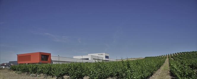 La alegría de vivir y beber