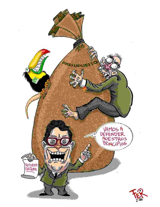 Cartón de FER