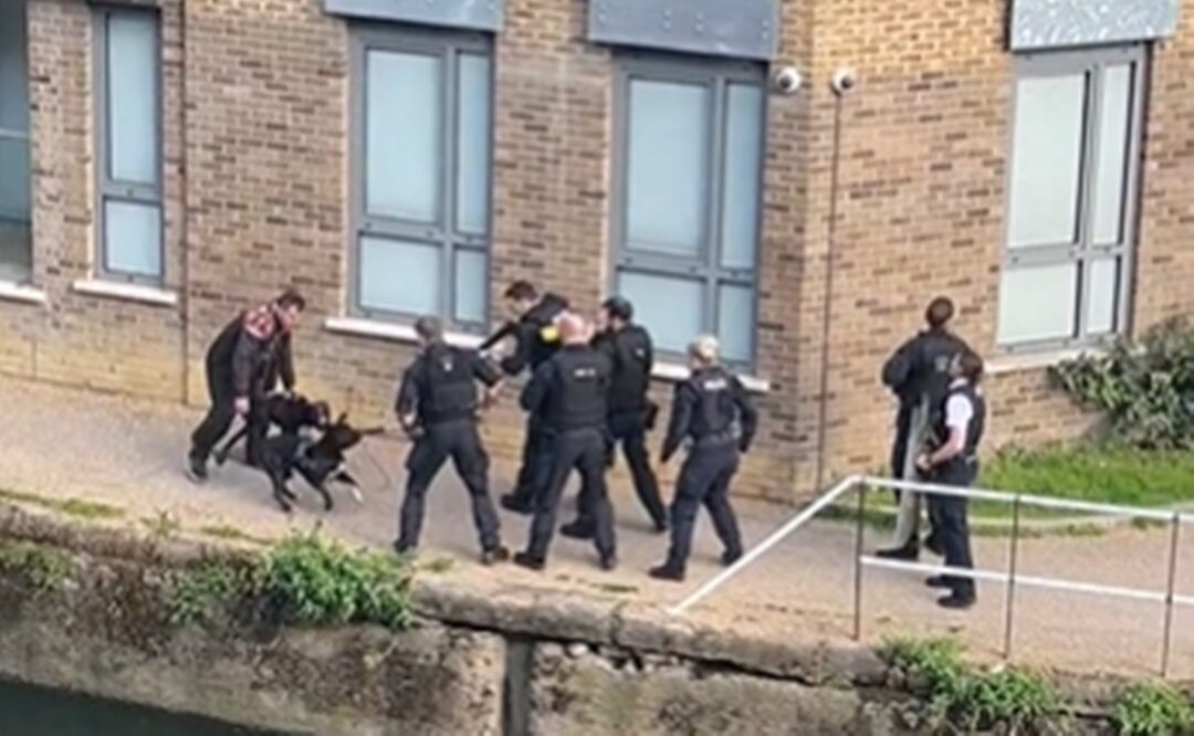 La policía de Londres está envuelta en una polémica luego de que se difundiera un video en el que se vio a los oficiales disparar y matar a dos perros. Foto: Tomada del video