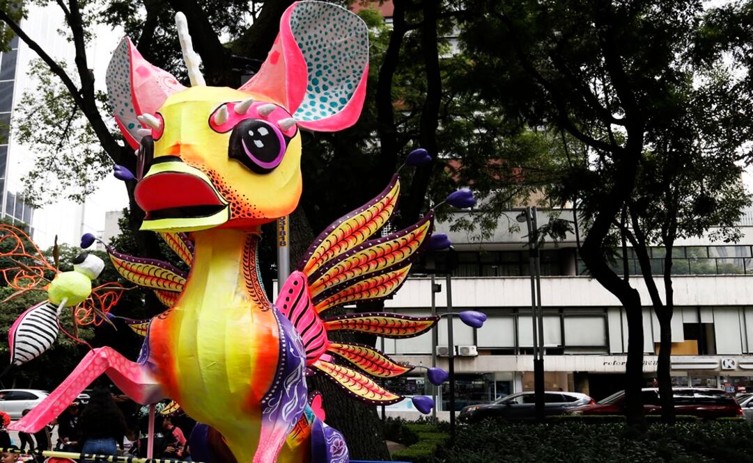 Chikatal by Roberto Gullién Flores - Photo: Agustín Salinas/EL UNIVERSAL