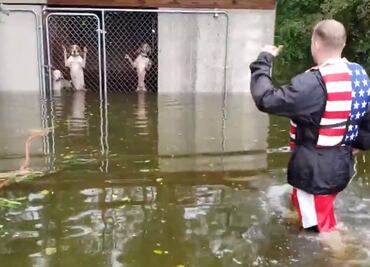 Captan en video rescate de perros enjaulados durante inundación por "Florence"