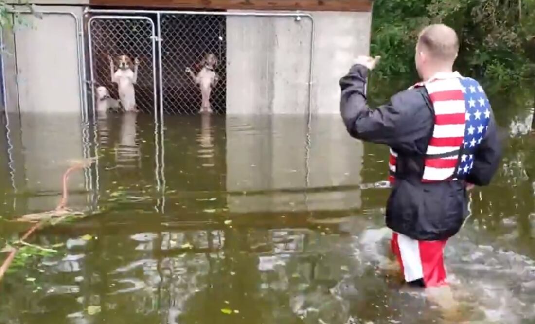 Foto: tomada de video