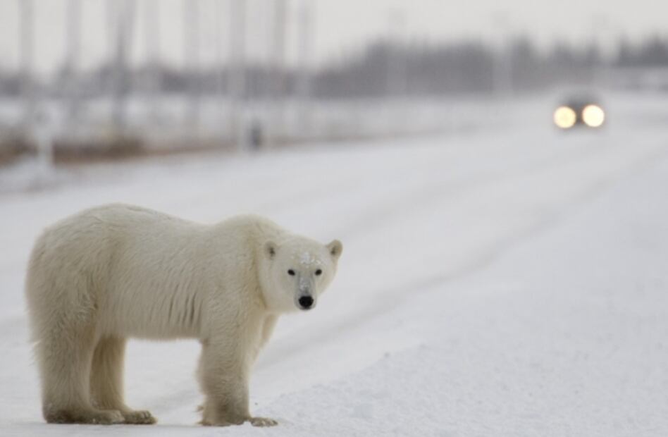 Invierno 2020: ¿Cuándo empieza y cuánto dura?