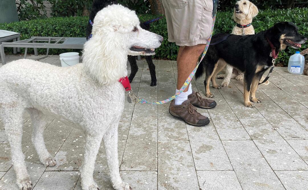 El grupo de rescate United Cajun Navy en el lugar del derrumbe en Miami. Fotos: AFP