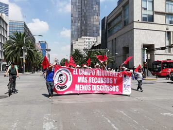 Campesinos anuncian plantón en Zócalo; exigen audiencia con AMLO