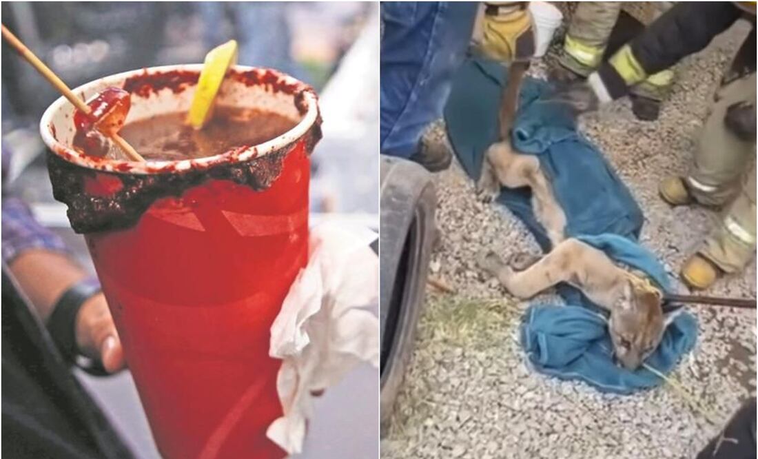 FOTO: Archivo y Especial/ EL UNIVERSAL/