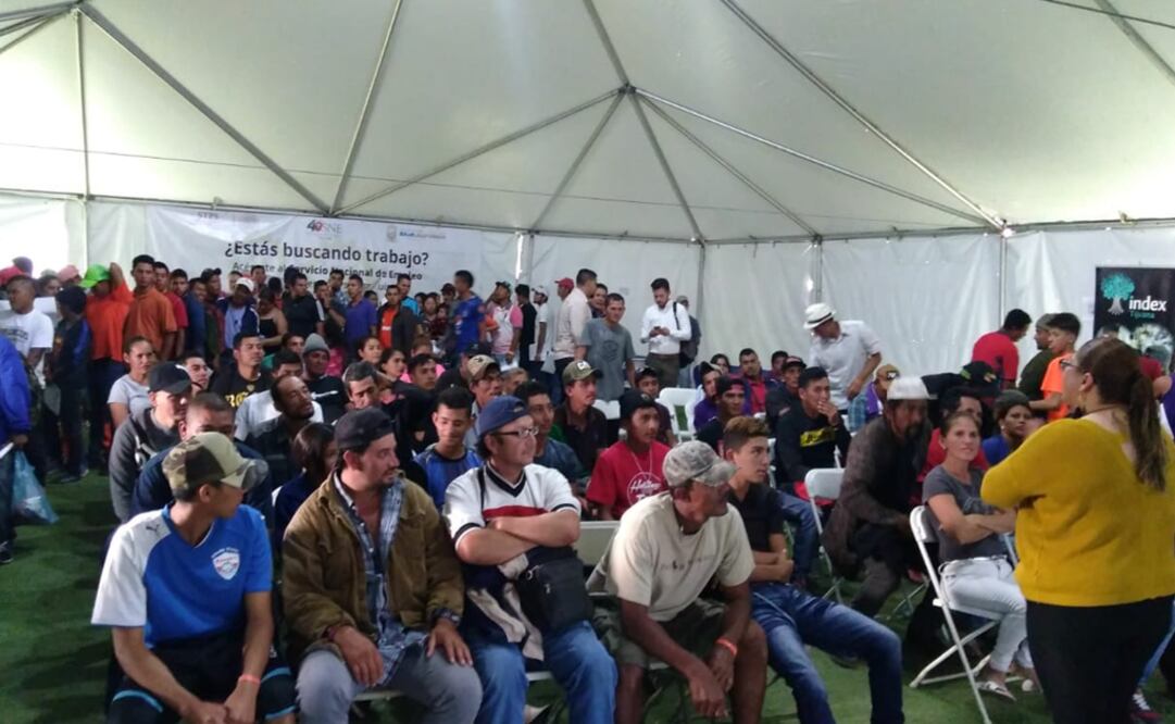 La mayoría de los migrantes interesados en trabajar son originarios de Honduras y tienen niveles máximos de escolaridad de preparatoria. Foto: @STPS_mx