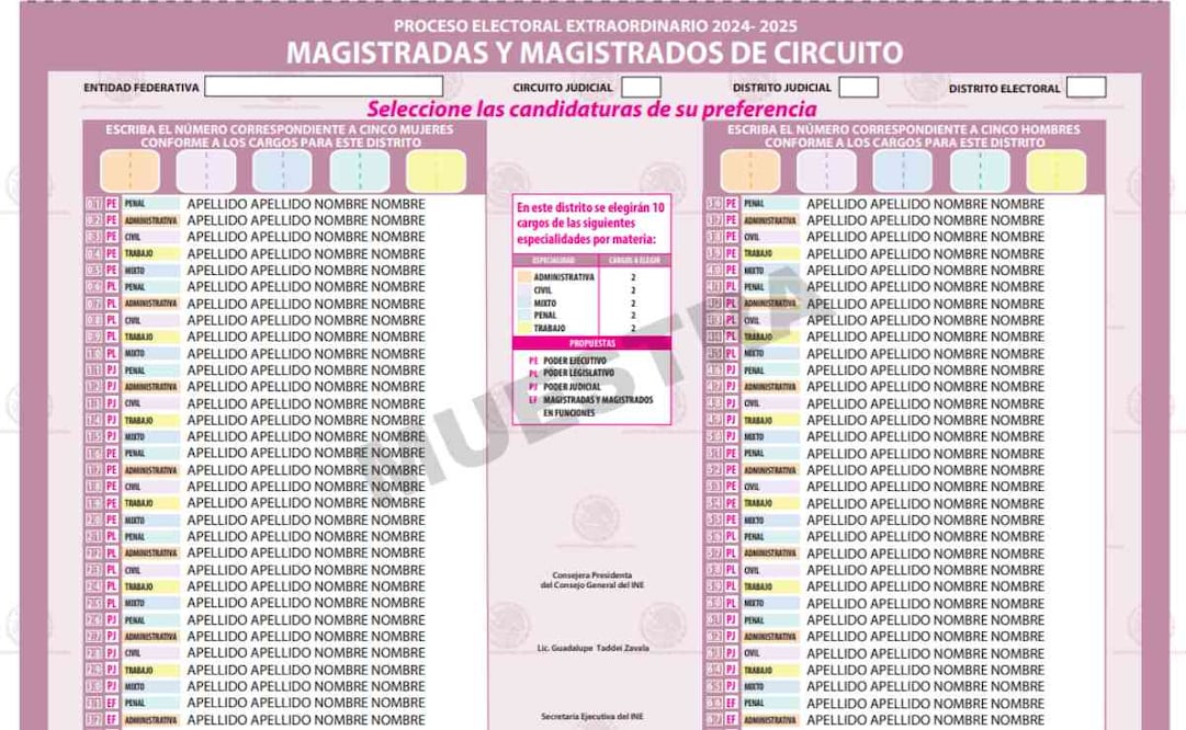 Boleta para Magistradas y magistrados de Circuito. Foto: Captura de pantalla