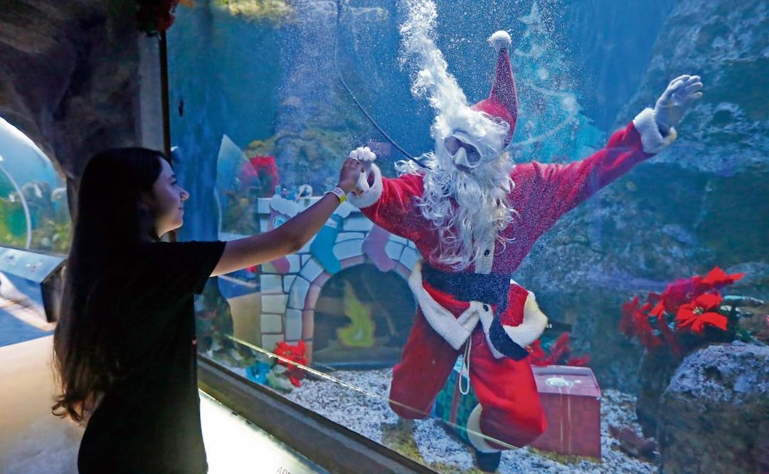 Foto: Miguel García / EL UNIVERSAL