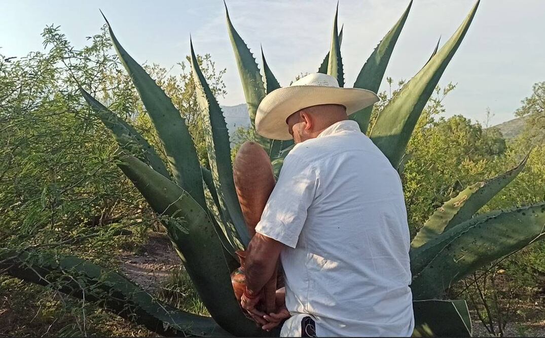 Día Nacional del Pulque en Hidalgo. Foto: Especial