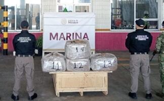 Aseguran droga psicodélica en Veracruz; Marina decomisa 96 kilos de DMT en recinto portuario