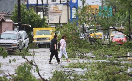 Vientos de hasta 70 km/h tiran árboles en Monterrey