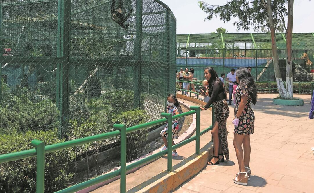 Algunos visitantes del Zoológico Parque del Pueblo en Neza no respetaron la protección para acercarse a las jaulas. Foto: Diego Simón/ EL UNIVERSAL