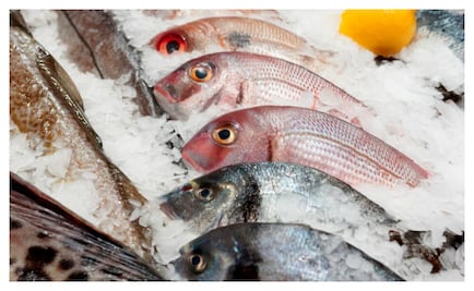 Aprovecha los sabores del mar durante Cuaresma