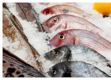 Aprovecha los sabores del mar durante Cuaresma