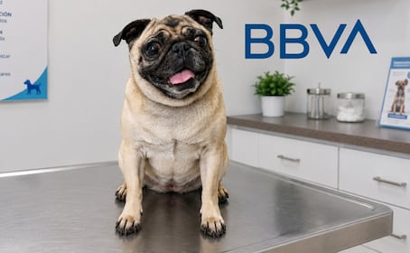 Seguro para mascotas de BBVA: descubre cuánto cuesta, qué cubre y por qué cuida tu bolsillo también