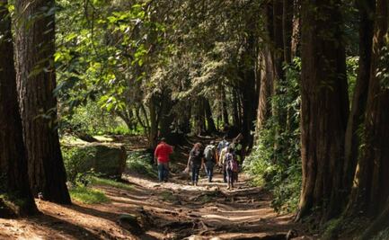 Sedema afirma que no ha autorizado desarrollo inmobiliario del proyecto Parque Natural La Cañada