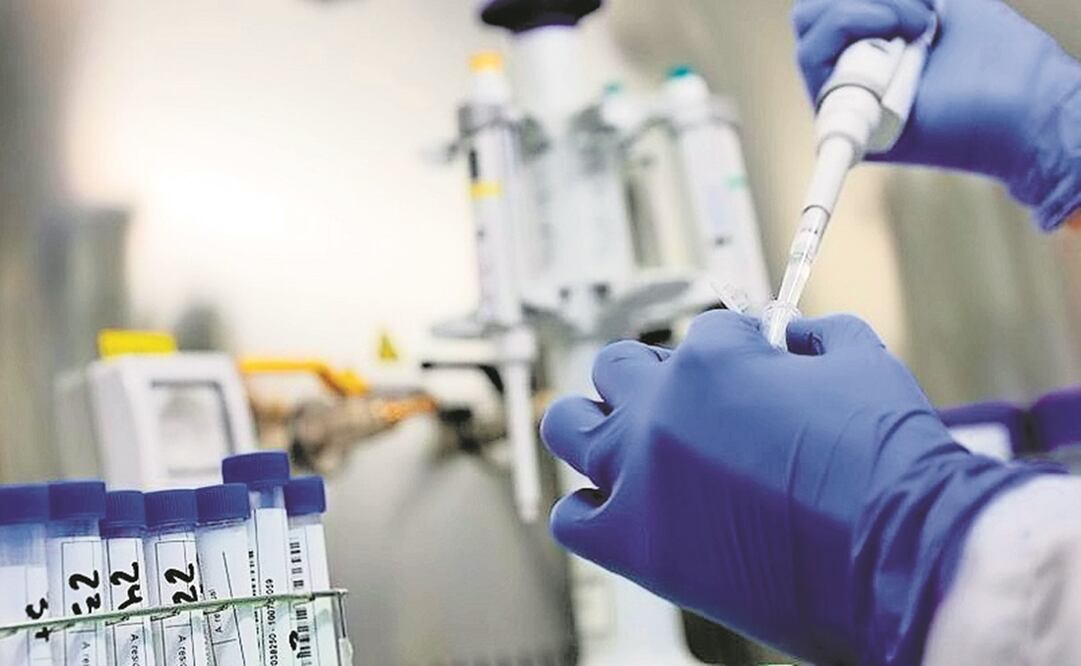 Foto: Archivo / EL UNIVERSAL