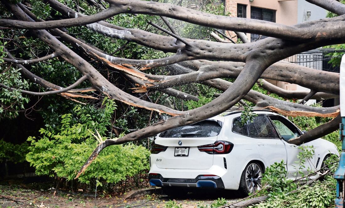 Un árbol de aproximadamente 15 metros de altura colapsó sobre tres vehículos que se encontraban estacionados en la calle Xochicalco, alcaldía Benito Juárez. Foto: Valente Rosas / EL UNIVERSAL