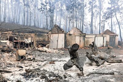 Sube cifra de víctimas por incendio en Portugal