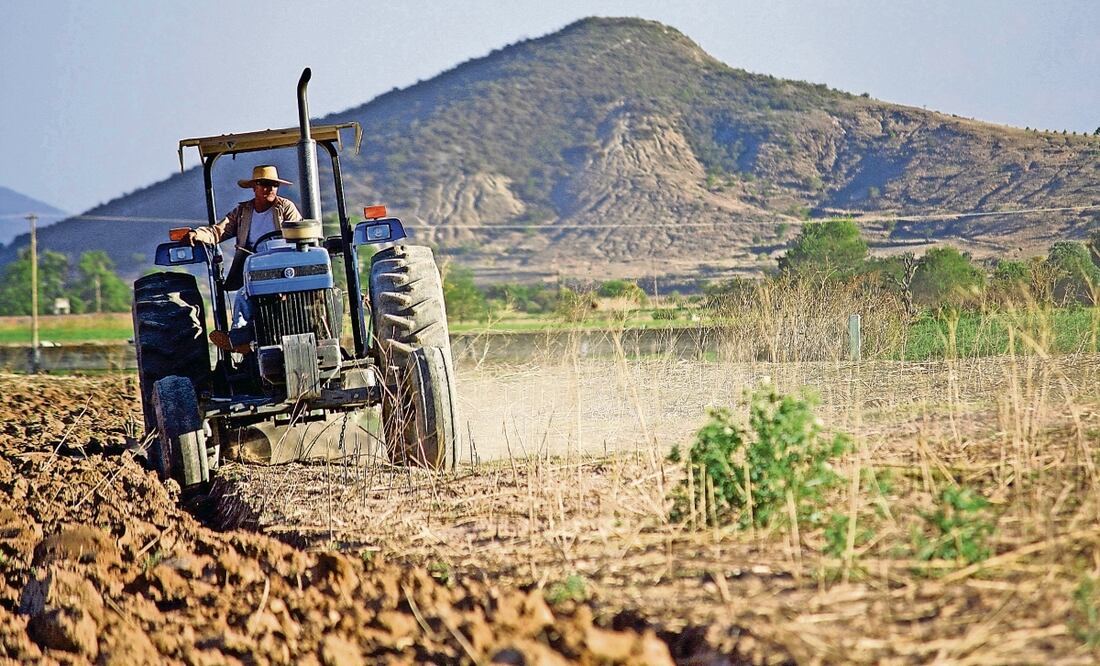 Sembrando Vida. Foto: Archivo