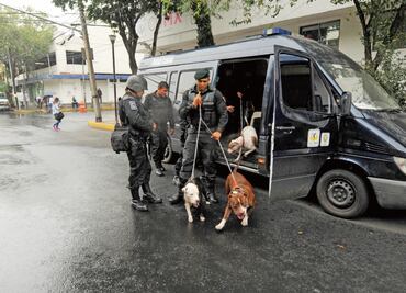 Cae banda que usaba perros para atracar